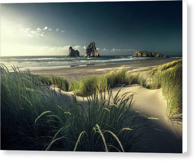 Beach landscape - Canvas Print