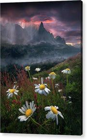 Fine Art Flower landscape - Acrylic Print