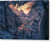 Snowy winter forest - Acrylic Print