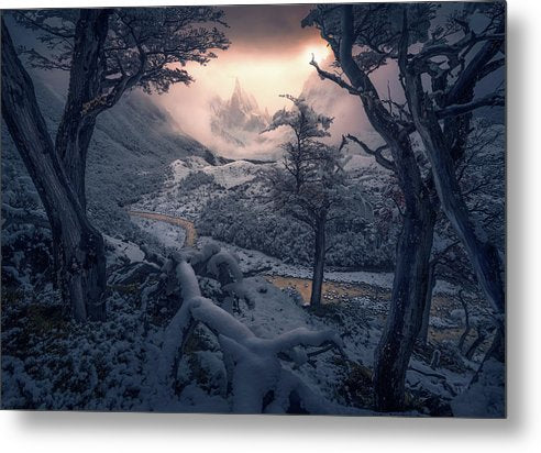 Winter Forest Metal Print