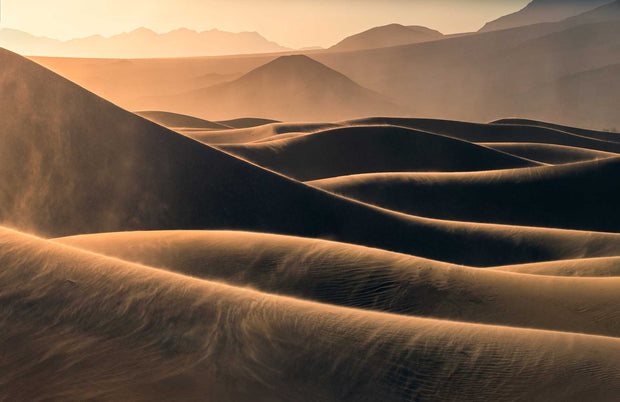 Death Valley Golden Dunes - Metal Print