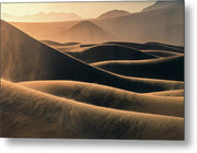 Death Valley Golden Dunes - Metal Print