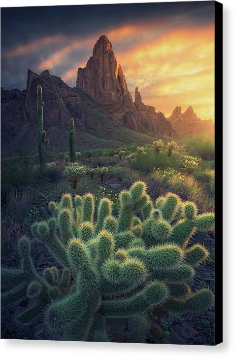 Arizona Southwest - Canvas Print