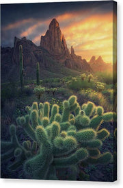 Arizona Southwest - Canvas Print