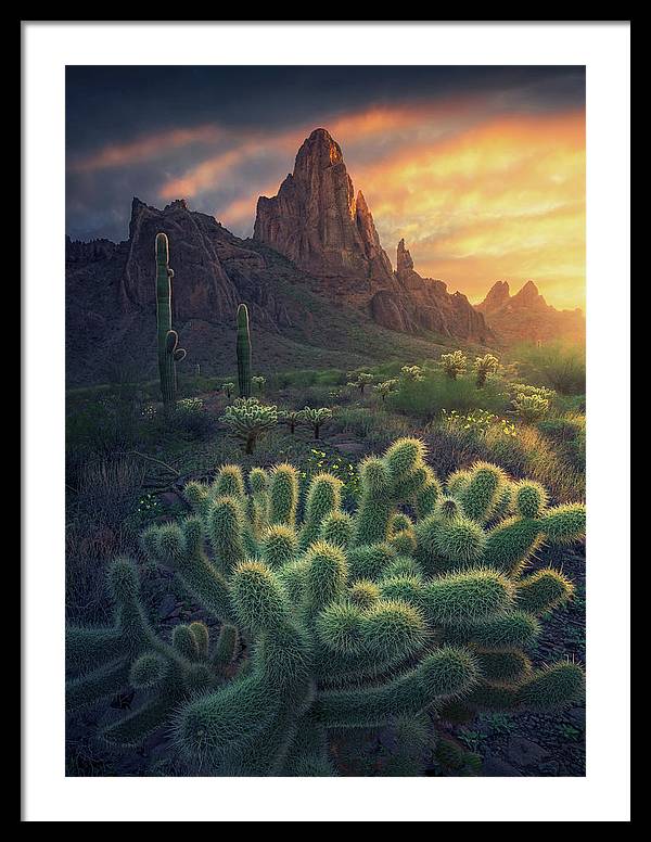 Yuma Arizona - Framed Print