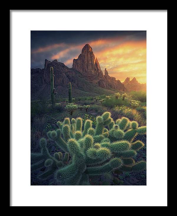 Yuma Arizona - Framed Print