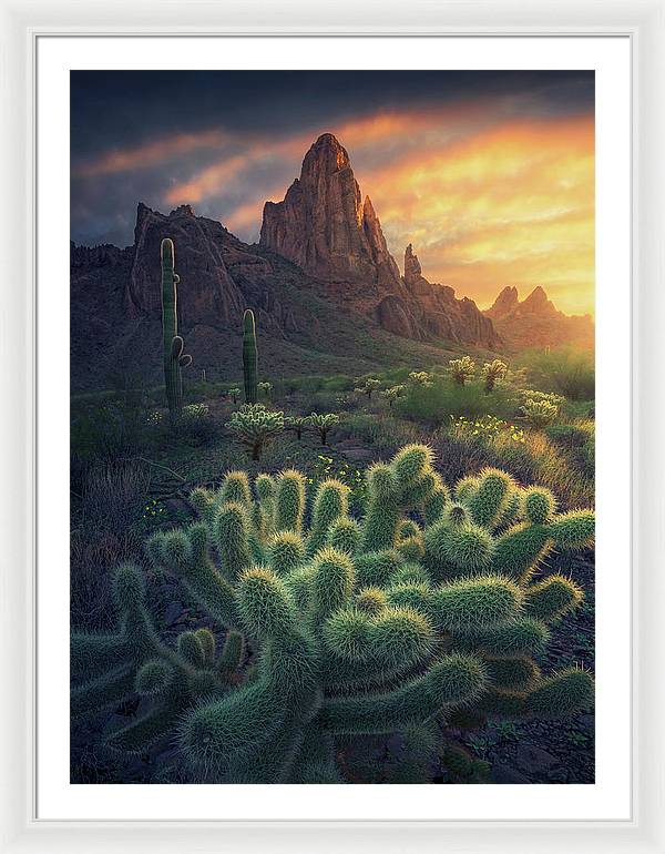 Yuma Arizona - Framed Print