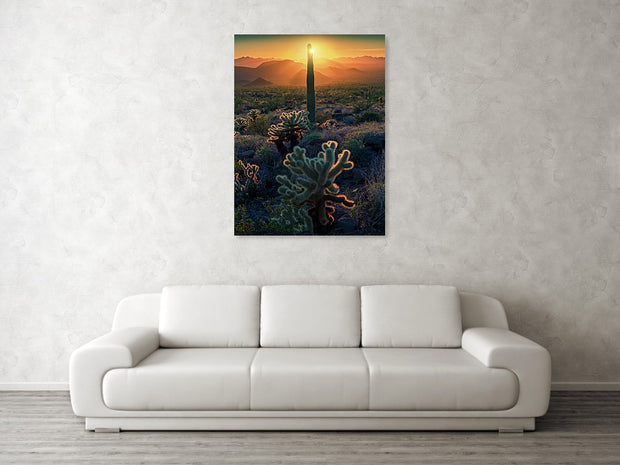 Arizona Fine Art Cacti - Canvas Print