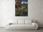 USA Cacti Landscape - Acrylic Print