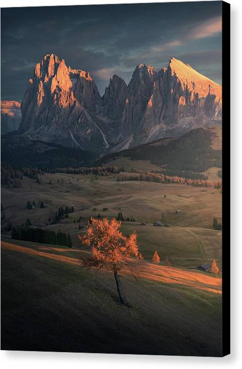 Alpe di siusi canvas print by max rive - black sides