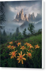 Dolomites Unesco - Canvas Print