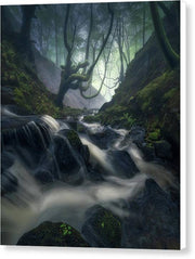 Down The Forest - Canvas Print