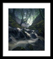 Down The Forest - Framed Print