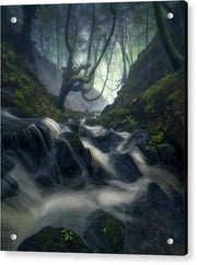Down The Forest - Acrylic Print
