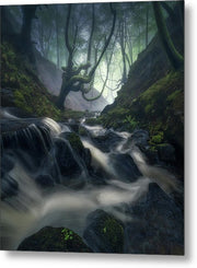 Down The Forest - Metal Print