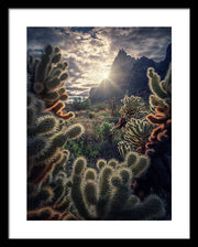 Cacti of the South-West - Framed Print