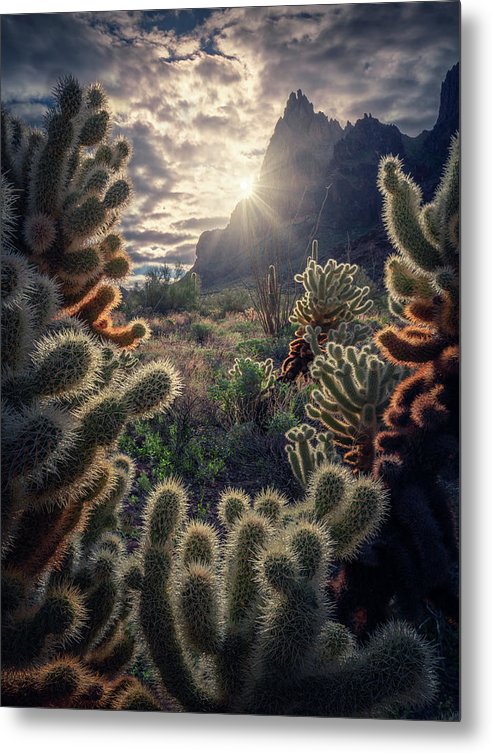 Kofa National Wildlife Refuge Metal Print