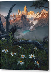 Flowers in the mountains - Acrylic Print