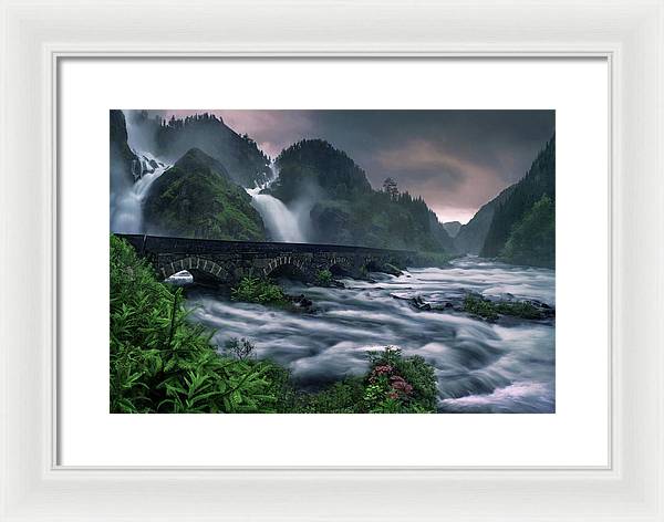 Flooded Forest - Framed Print