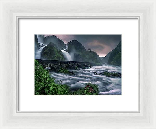 Flooded Forest - Framed Print