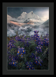 Cordillera Blanca Flowers - Framed Print