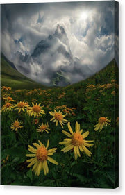 Flowers of the Sun - Canvas Print