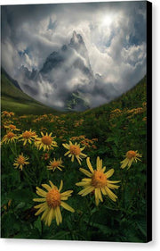Flowers of the Sun - Canvas Print