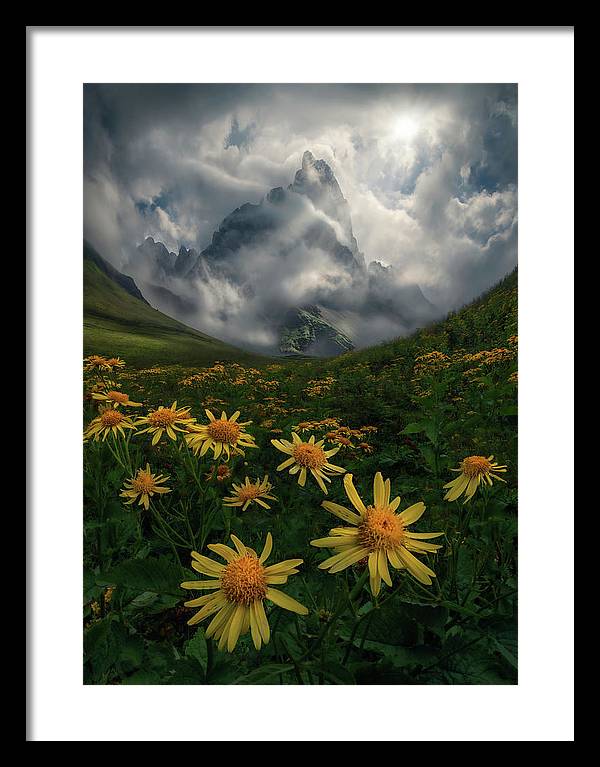 Flowers of the Sun - Framed Print