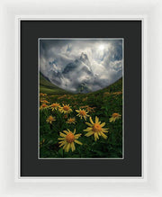 Flowers of the Sun - Framed Print