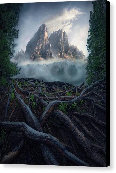 Forest View To the Mountain - Canvas Print