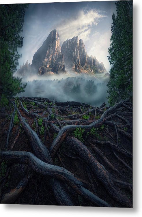 Forest View To the Mountain - Metal Print