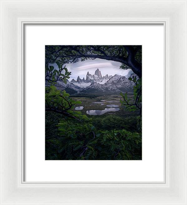 Patagonia woods - Framed Print
