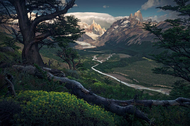 Patagonia Green Nature  - Acrylic Print