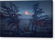 Fitz Roy Canvas Print in autumn morning, framed with tree - with mirrored sides