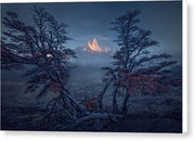 Fitz Roy Canvas Print in autumn morning, framed with tree - with white sides