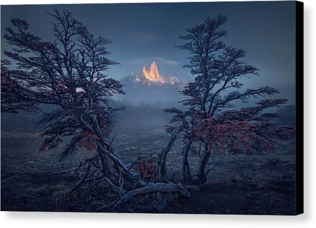 Fitz Roy Canvas Print in autumn morning, framed with tree - with black sides