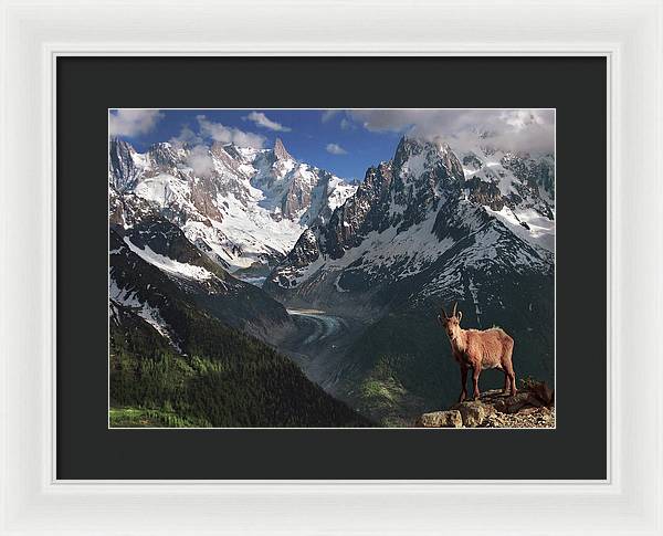 Ibex French Alps - Framed Print