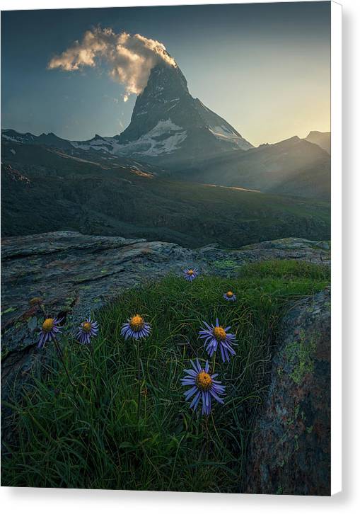 Canvas Print of Matterhorn with white sides during summer 