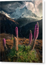 Andes Mountain Nature - Canvas Print