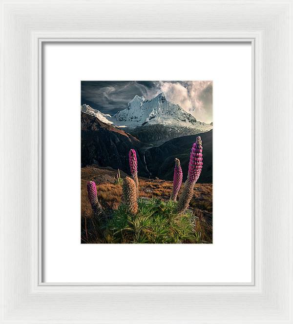 Flower Mountain Landscape - Framed Print