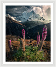 Flower Mountain Landscape - Framed Print