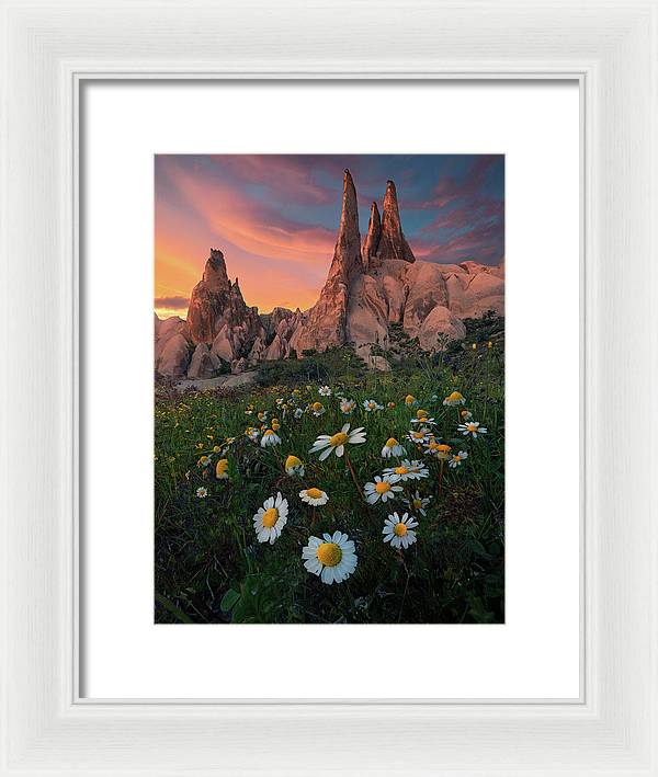 Looking Up - Framed Print