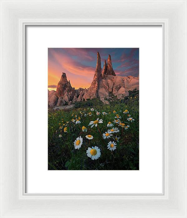 Looking Up - Framed Print