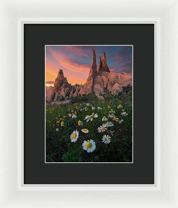 Looking Up - Framed Print