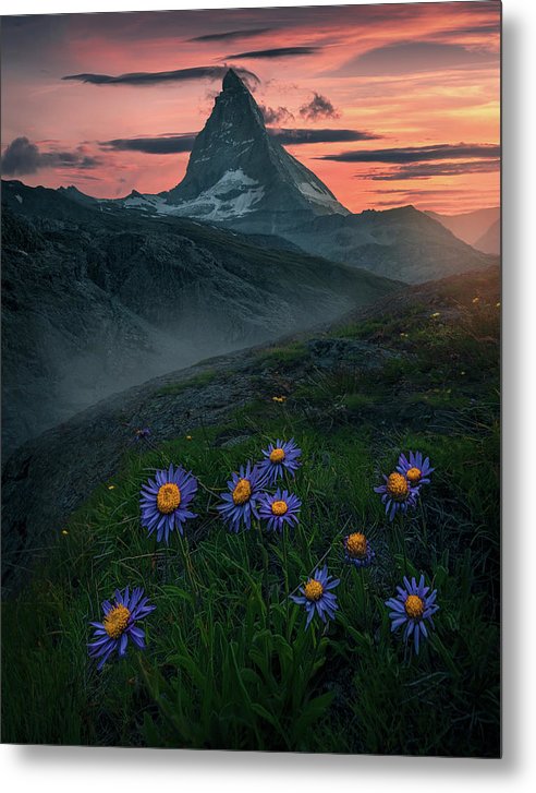 Red Sunset Matterhorn - Metal Print