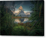 New Zealand Fjord - Canvas Print