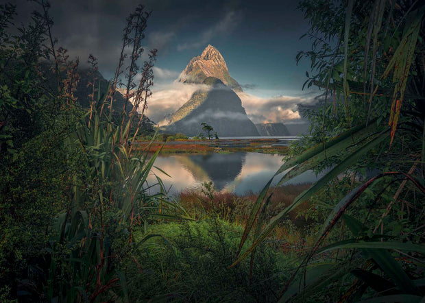 Milford Sound - Acrylic Print