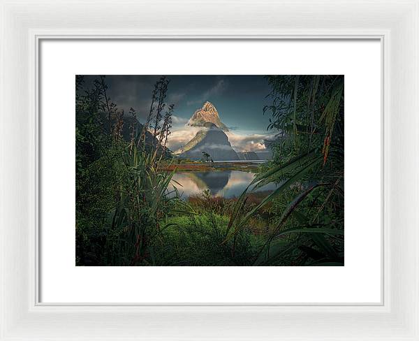 New Zealand Coast - Framed Print