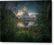 Milford Sound - Acrylic Print