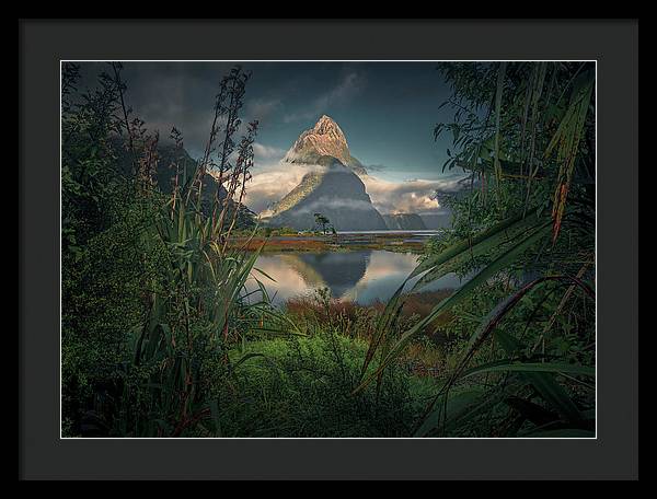 New Zealand Coast - Framed Print